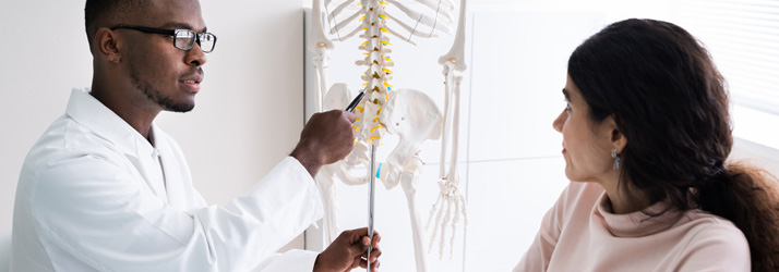 Chiropractic Bloomington IL Prioritize Your Spinal Health